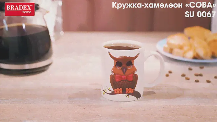 Bradex SU 0067 Кружка-хамелеон «СОВА»