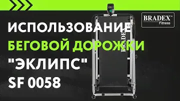Bradex Обзор SF 0058 Беговая дорожка «ЭКЛИПС»