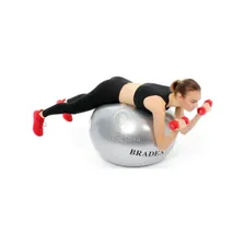 Мяч гимнастический Bradex Фитбол, арт. SF 0016, 65 см., без насоса